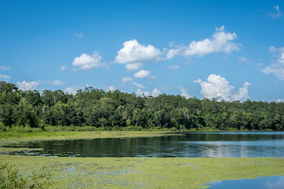 Lake Alfred