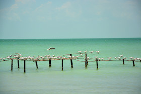 Corozal District retirement communities