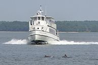 Daufuskie Island