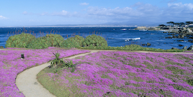 Pacific Grove retirement communities