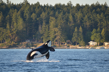 San Juan Islands retirement communities