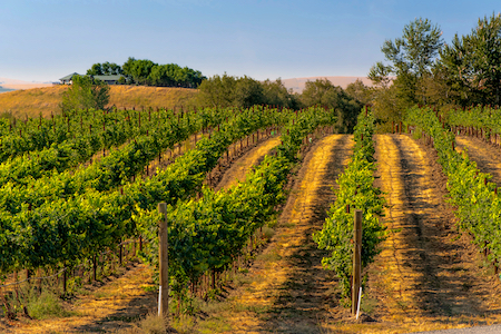 Walla Walla retirement communities