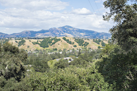 Walnut Creek