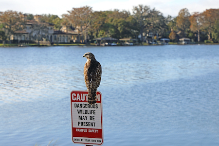 Winter Park retirement communities