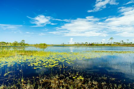 Port Saint Lucie