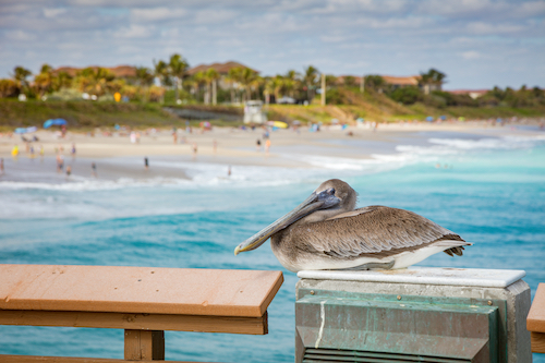 Juno Beach retirement communities