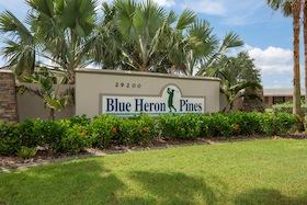 Blue Heron Pines