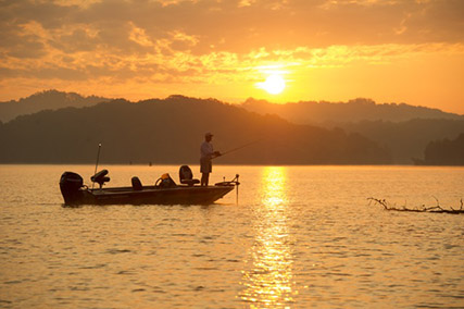 Tellico Village