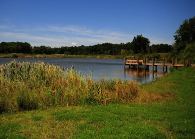 Millville By The Sea