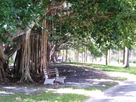 Retire in Venice FL