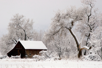 Boulder retirement communities