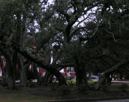 Beaufort NC retirement communities