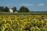 Traverse City retirement communities
