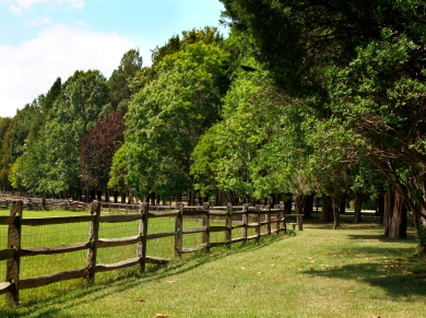 PRINCE GEORGE retirement communities