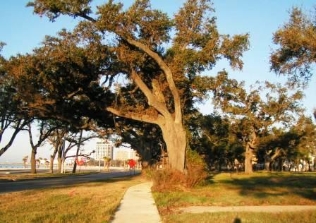 Biloxi retirement communities