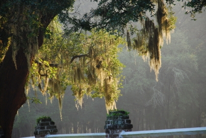 Beaufort retirement communities