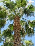 Saint Simons retirement communities