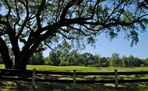 Conway retirement communities