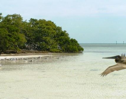 Islamorada retirement communities