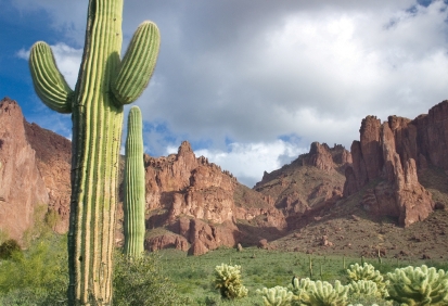 Mesa retirement communities