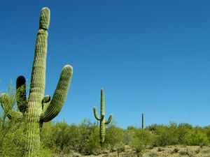 Oro Valley