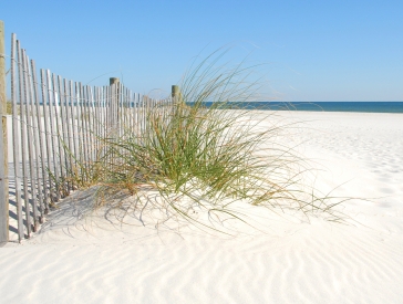 Stuart retirement communities