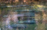 ../images/city/990_1.jpg