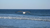 Sunset Beach retirement communities
