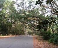 Tallahassee retirement communities