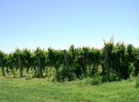 Riverhead retirement communities