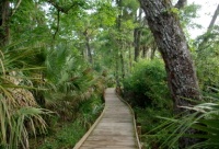Dunnellon retirement communities