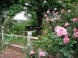 Carol Woods Retirement Community