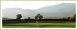 Sands RV and Golf Resort