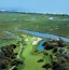Pawleys Plantation