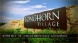 Longhorn Village