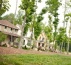 Briar Chapel