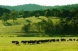 Bundoran Farm