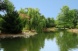 Arbor Acres