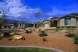 Coral Canyon