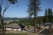 Rose Village