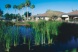 Palmas del Sol East