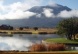 American Ranch