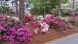 Ocean Ridge PlantationÂ® 