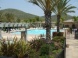 The Oasis
