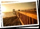 TidalWalk