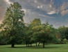 White Sulphur Springs