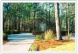 Cedar Creek 