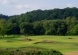 Blue Ridge Golf and River Club