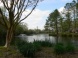 Greenbrier