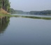 Walden Woods at the Lake
